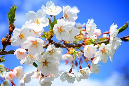 从爆红到可靠：2026 年的成功长什么样